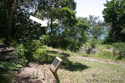 Bundeena Heritage Walk.  Looking from sign 7 towards the sea. The stone steps are next to the tree marked with an arrow. The steps on the far left lead towards earlier signs. On the right you can see the dry creek.