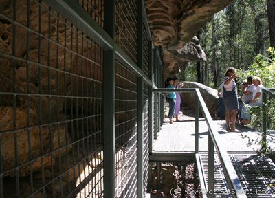 A cave closed by metal mesh to avoid damage.