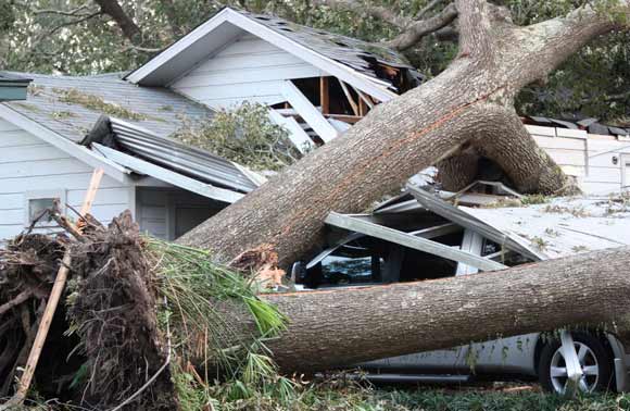 Tree crusing a house and car.