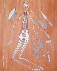 An Aboriginal painting showing the digestive system in a human body.