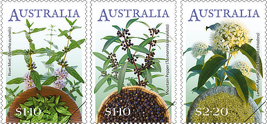 Stamps showing the herbs as plants and after processing.