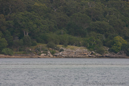 Aboriginal camp site near Port Hacking, NSW.