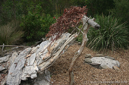 An Aboriginal temporary shelter, a 'gunya'.