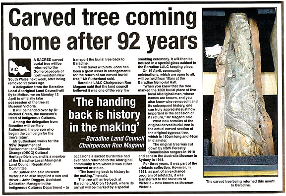 Newspaper article about a carved tree returning to its original place after 92 years.