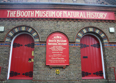 Brighton's Booth Museum of Natural History