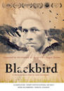 Blackbird