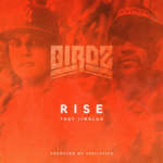Birdz - Rise (feat. Jimblah) - Single
