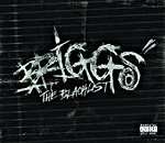 Briggs - The Blacklist