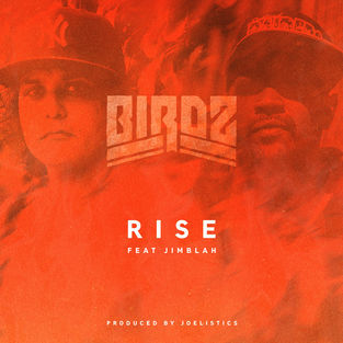 Birdz - Rise (feat. Jimblah) - Single