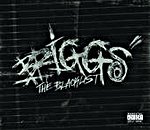 Briggs - The Blacklist