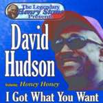 David Hudson - The Legendary Henry Stone Presents: David Hudson