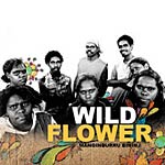 Wildflower - Manginburru Bininj