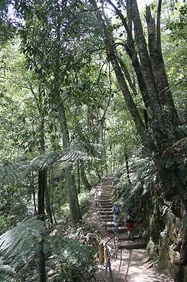 Federal Pass. The trail is refreshingly diverse but easy to walk.