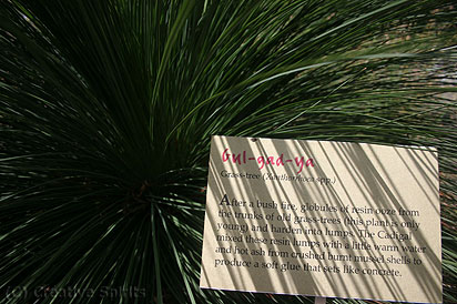 Cadi Jam Ora area. Signs explain Aboriginal plant use and give the indigenous name, if known. The Grass Tree was known as Gul-gad-ya.