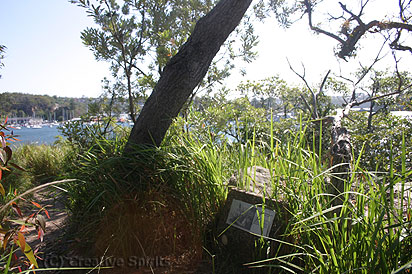 Aboriginal midden. This Aboriginal midden is located between Fisher Bay and Sandy Bay. Note the walking path on the left and the sign explaining the site on the right.