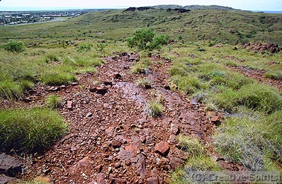 Karratha. Talu site for the Giant Fruit Eating Bat. Karratha is in the background at the far left.