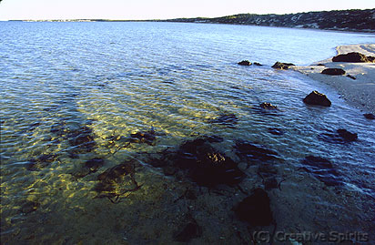 Denham. Aboriginal fish trap. The three-quarter once formed the trap.