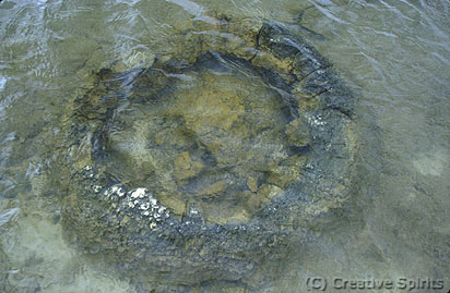 Cervantes. Stromatolite. When a stromatolite dies it resembles an extinct volcano.